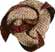 Sacred symbol of the Gordian Knot - click for history